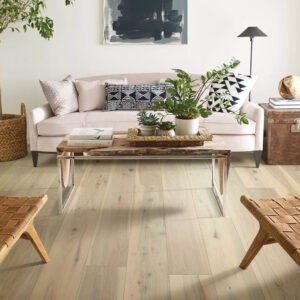 hardwood in living room | Enfield Carpet & Flooring | Enfield, CT