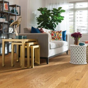 hardwood in living room | Enfield Carpet & Flooring | Enfield, CT