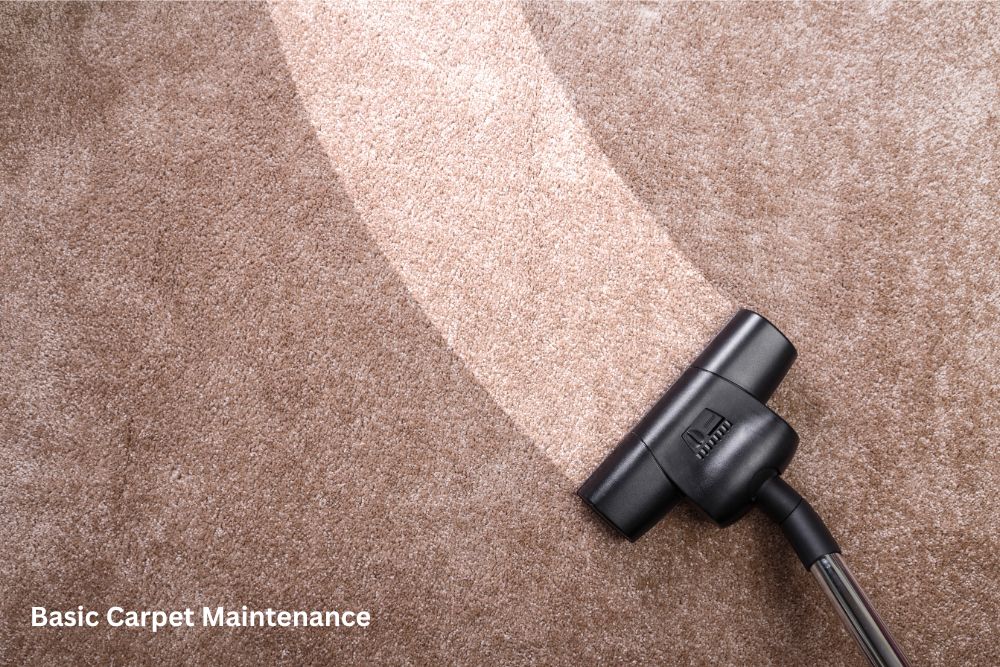 Carpet floor cleaning | Enfield Carpet Center Inc