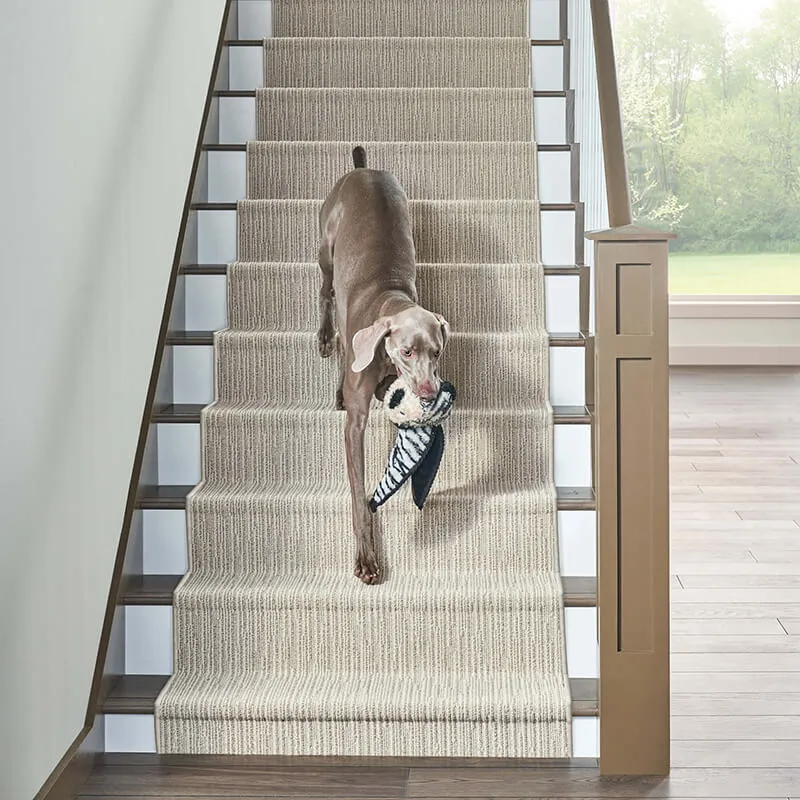 ZZ075-Chase-712-Briarwood-AA818-Buckingham-17024Cambridge-V-Mid1-Talent Stair runner